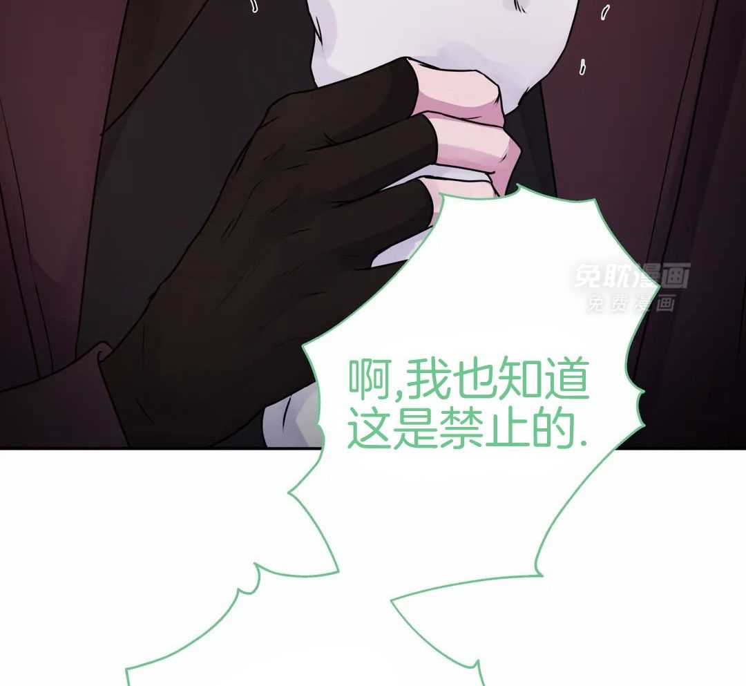 这个哨兵他碰瓷第33话图