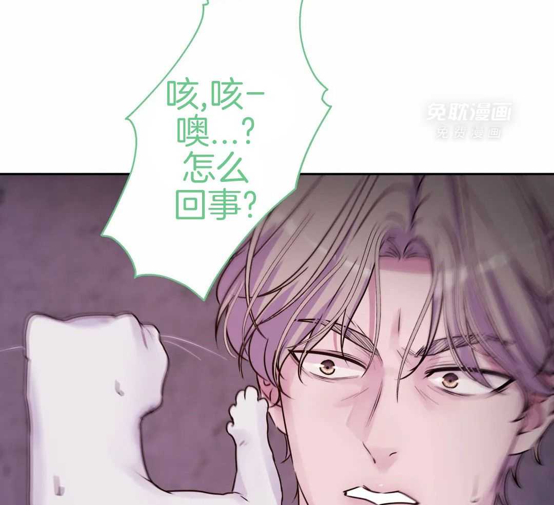 这个哨兵他碰瓷第33话图