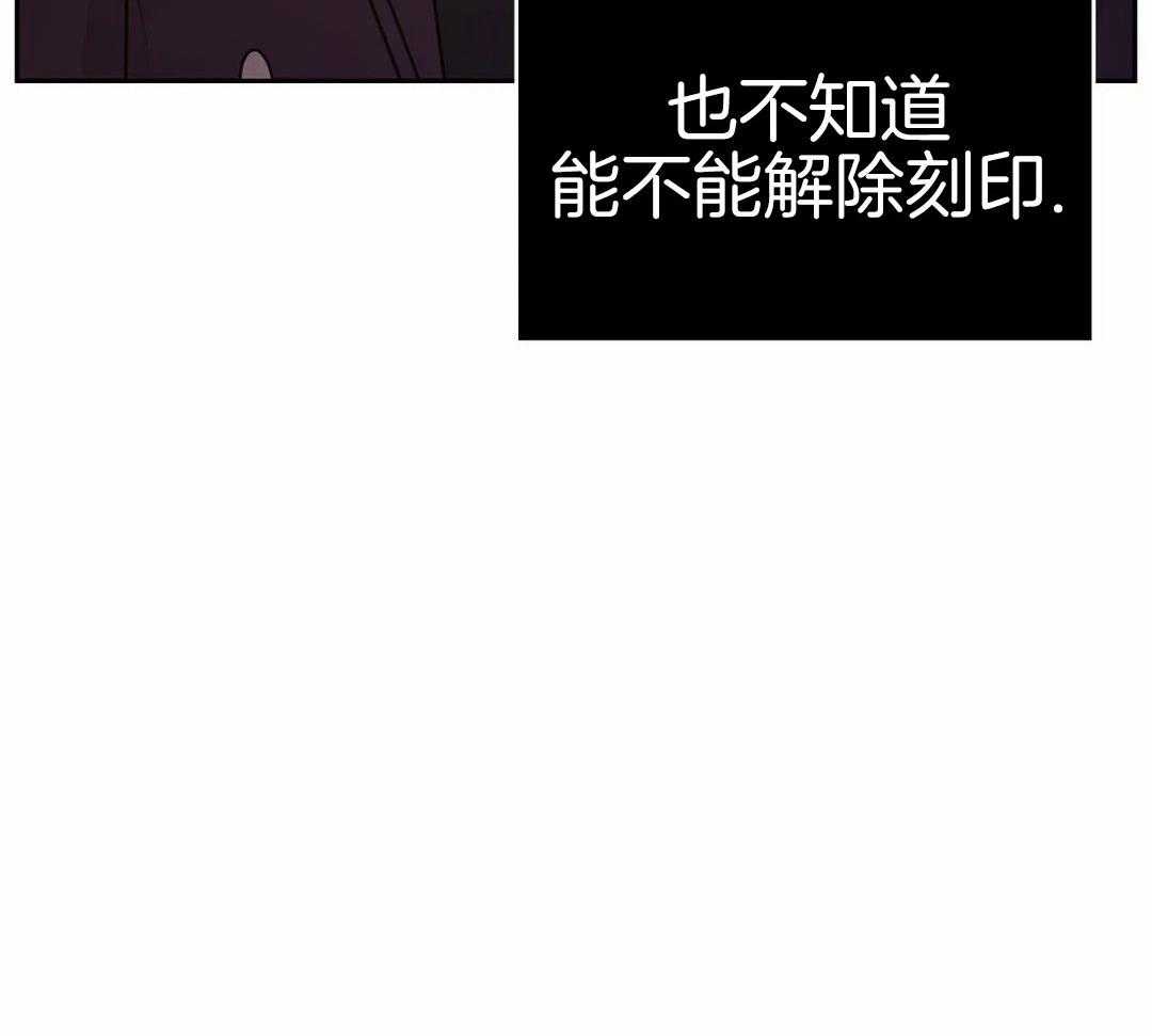 这个哨兵他碰瓷第34话图