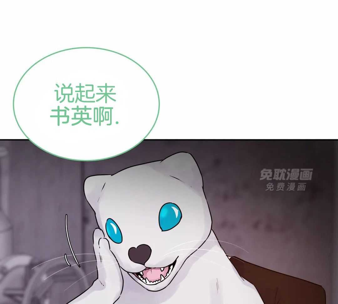 这个哨兵他碰瓷第34话图