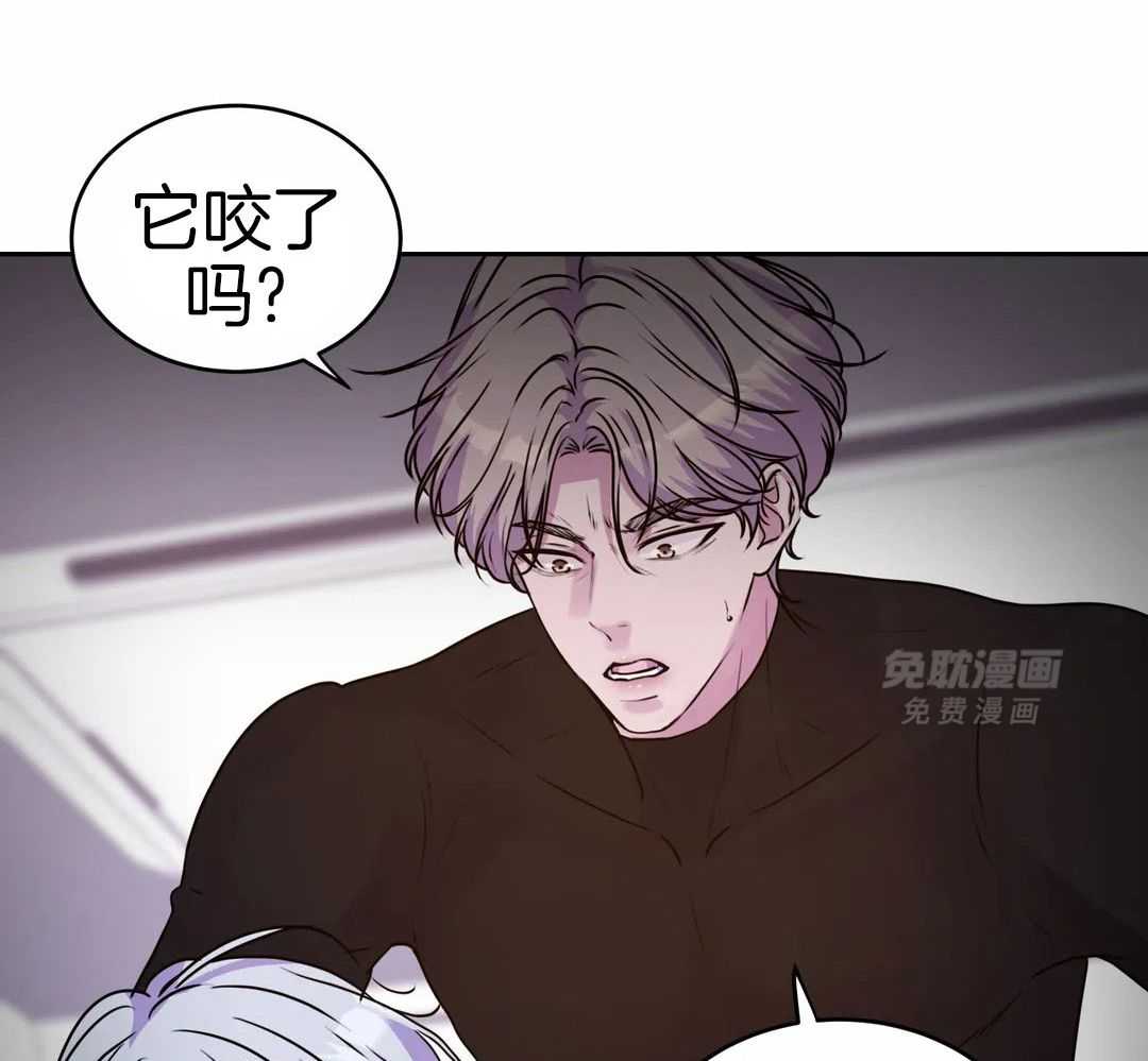 这个哨兵他碰瓷第35话图