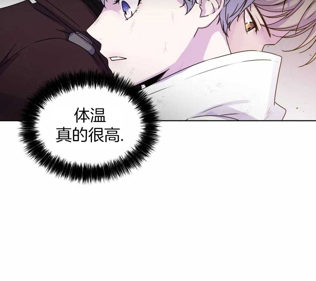 这个哨兵他碰瓷第5话图