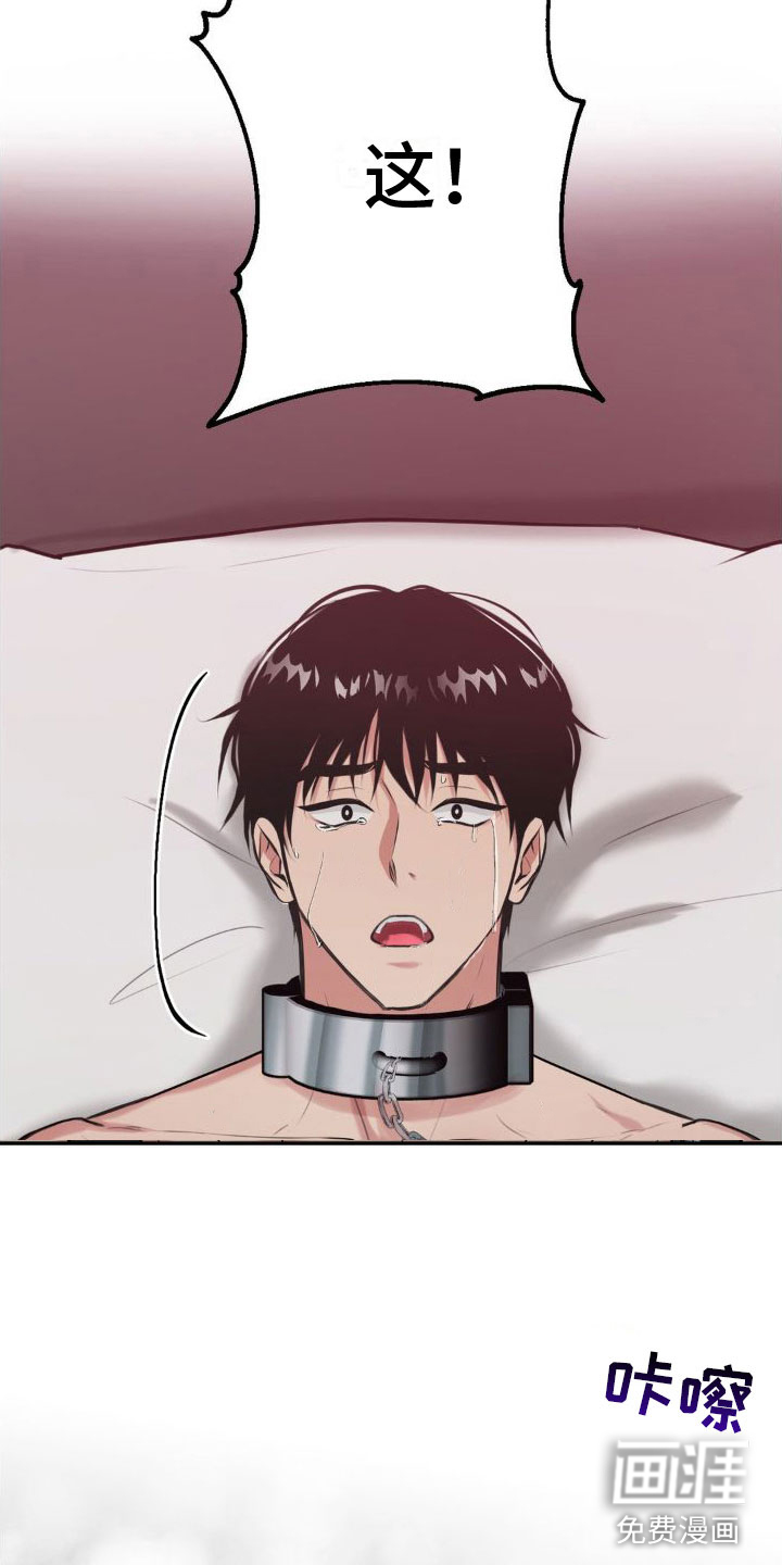 制控项链第12话图