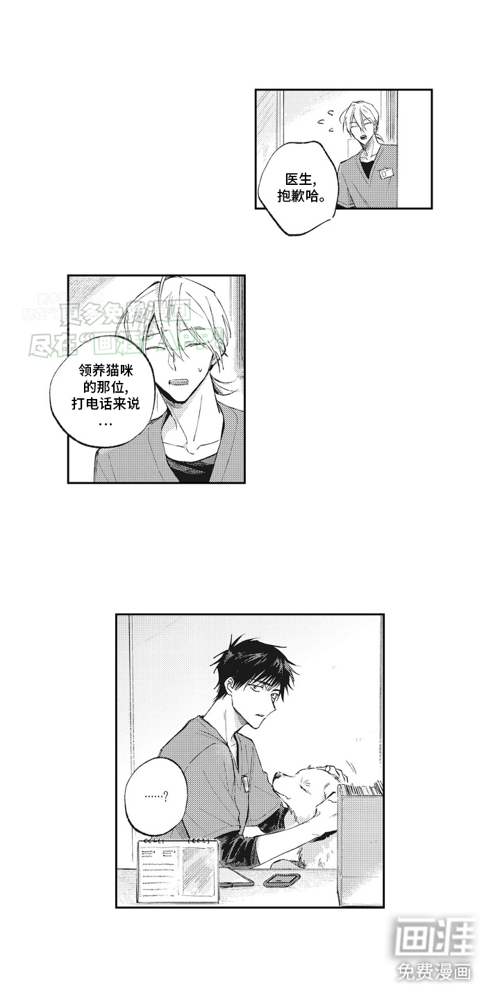 只属于我的猫第18话图