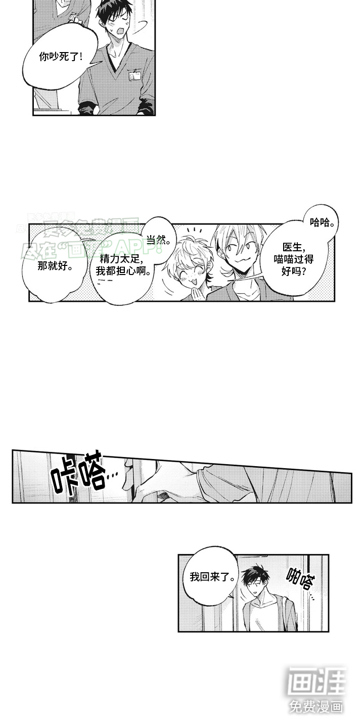只属于我的猫第21话图
