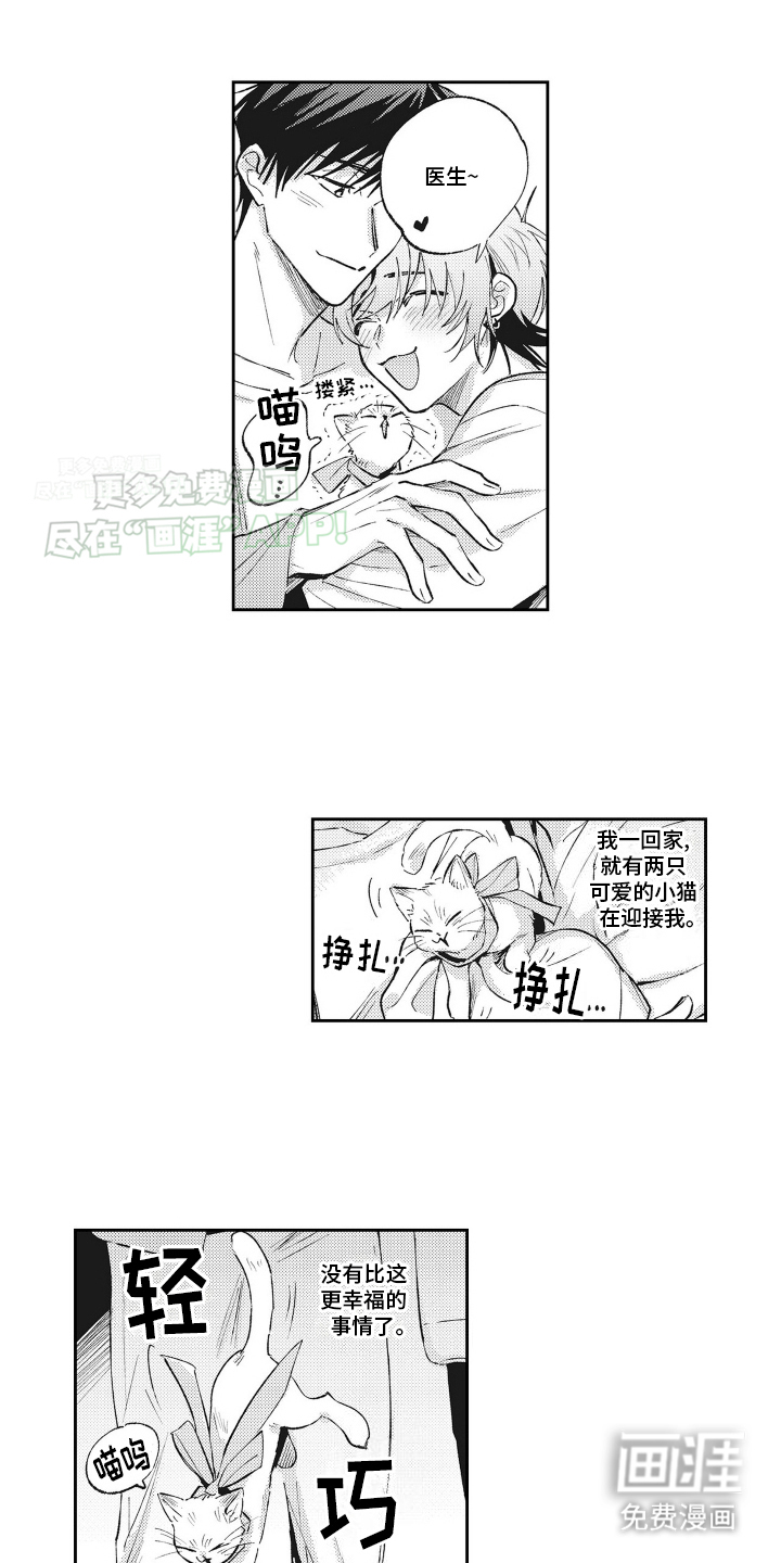 只属于我的猫第22话图