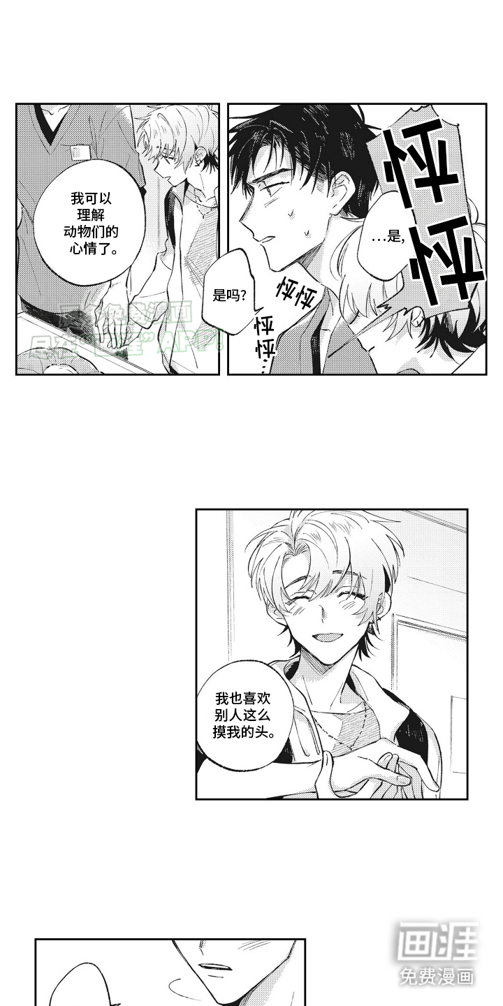 只属于我的猫第3话图