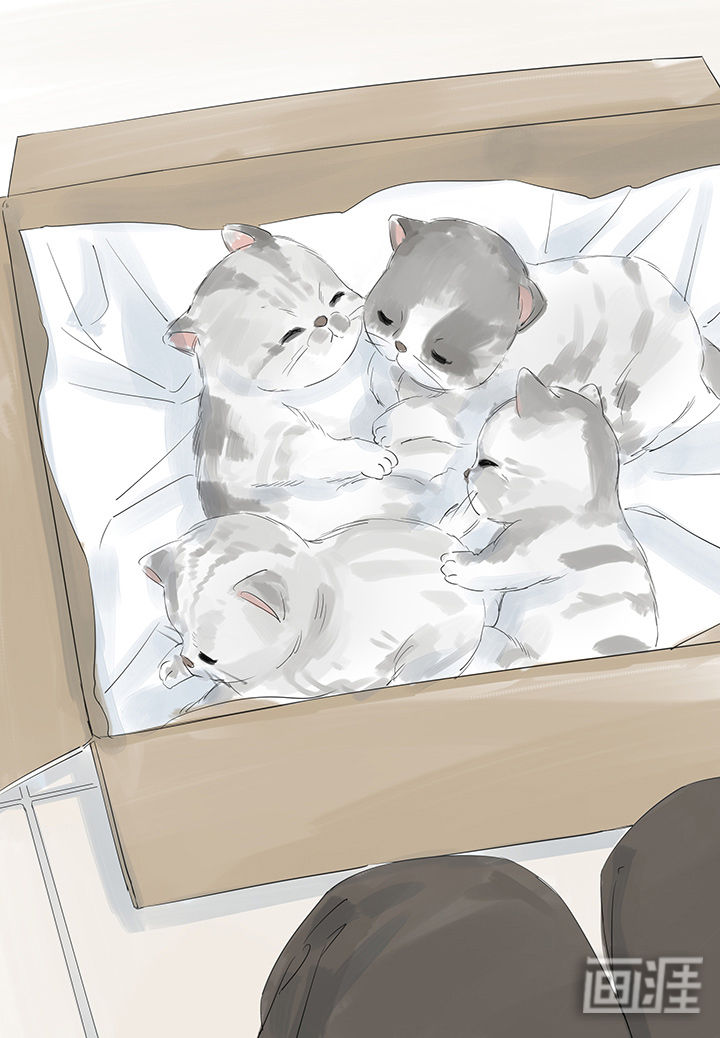 最爱你的那十年漫画-图20