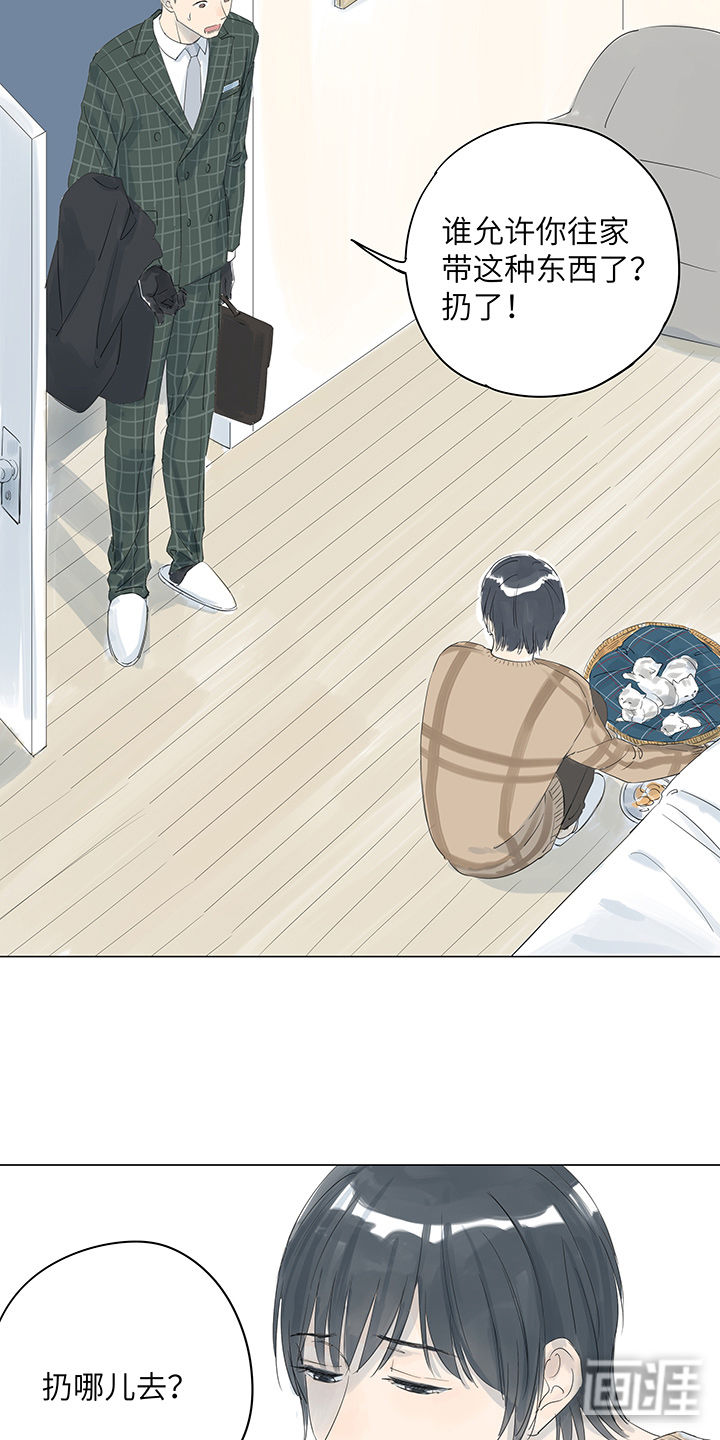 最爱你的那十年漫画-图4