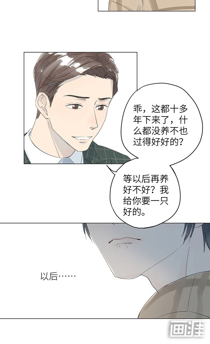 最爱你的那十年漫画-图6