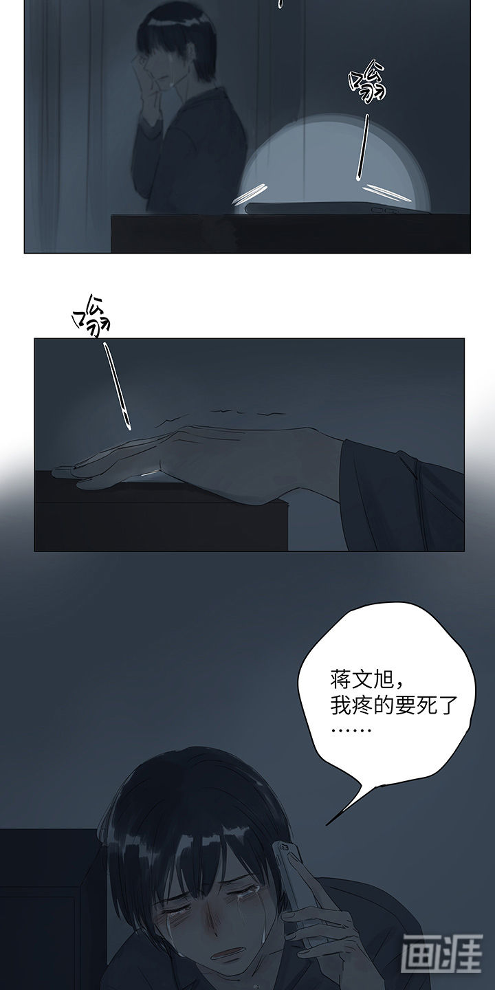 最爱你的那十年漫画-图12