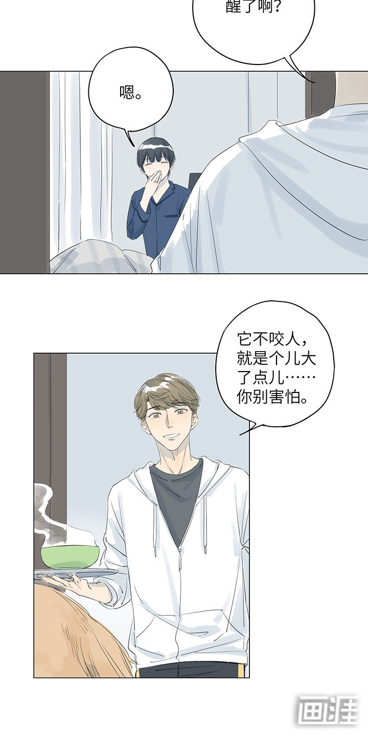 最爱你的那十年漫画-图5