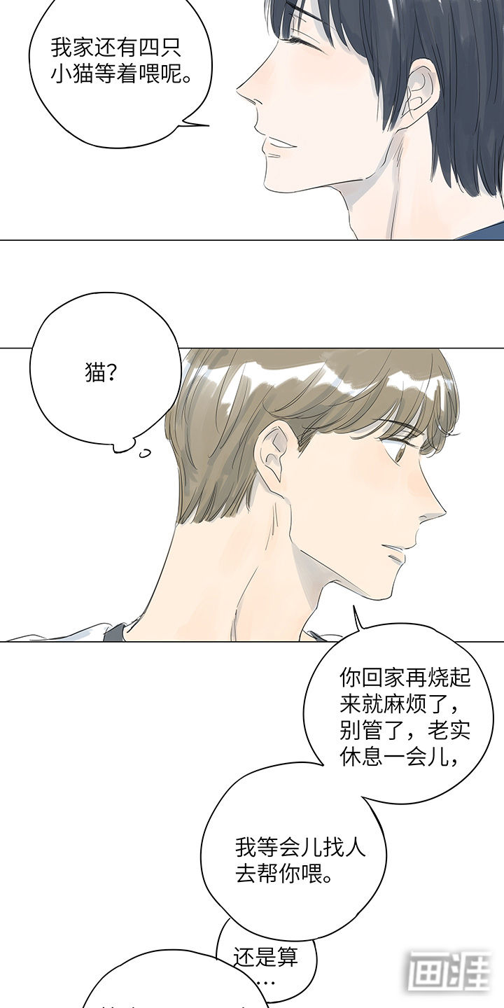 最爱你的那十年漫画-图11