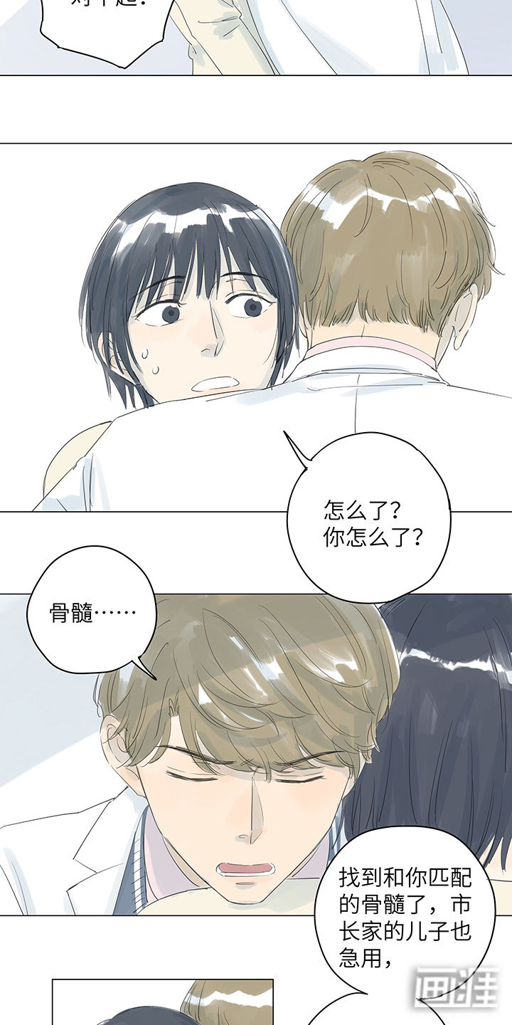 最爱你的那十年漫画-图17