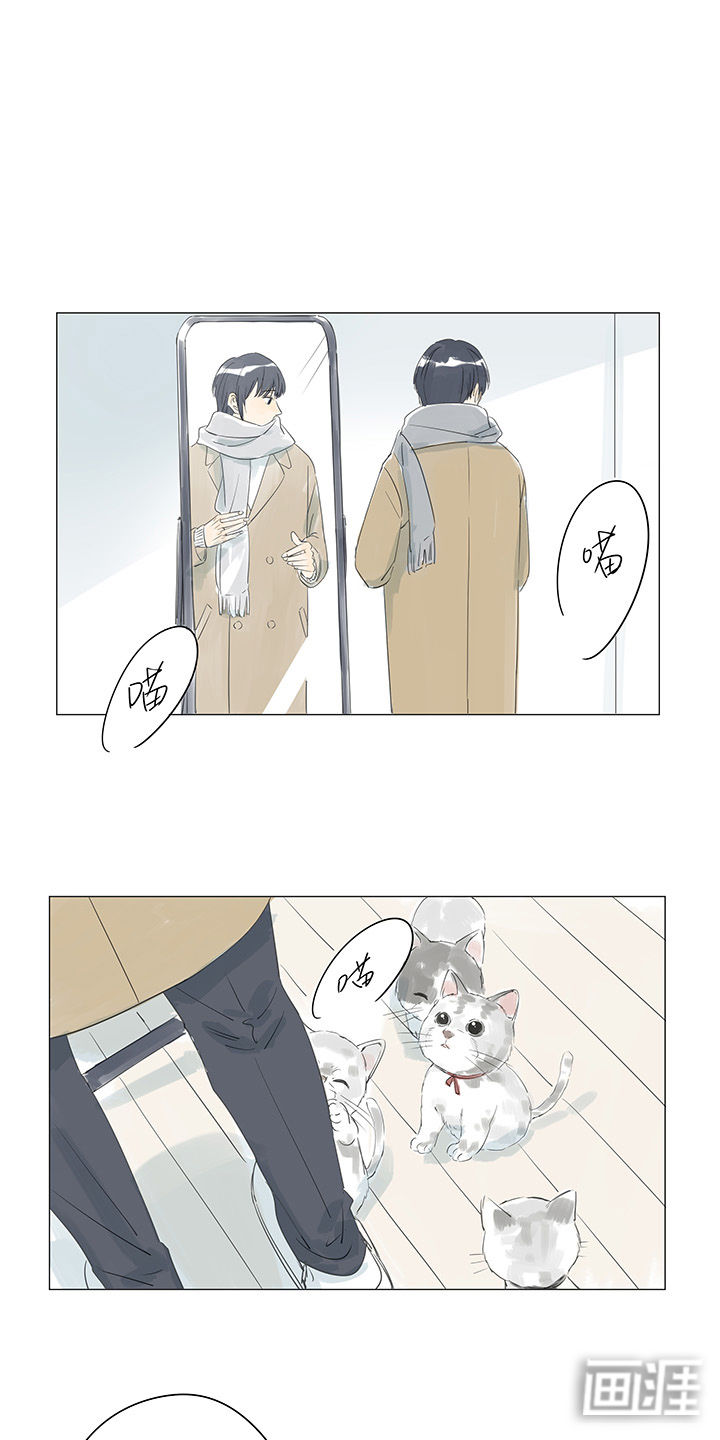 最爱你的那十年漫画-图17