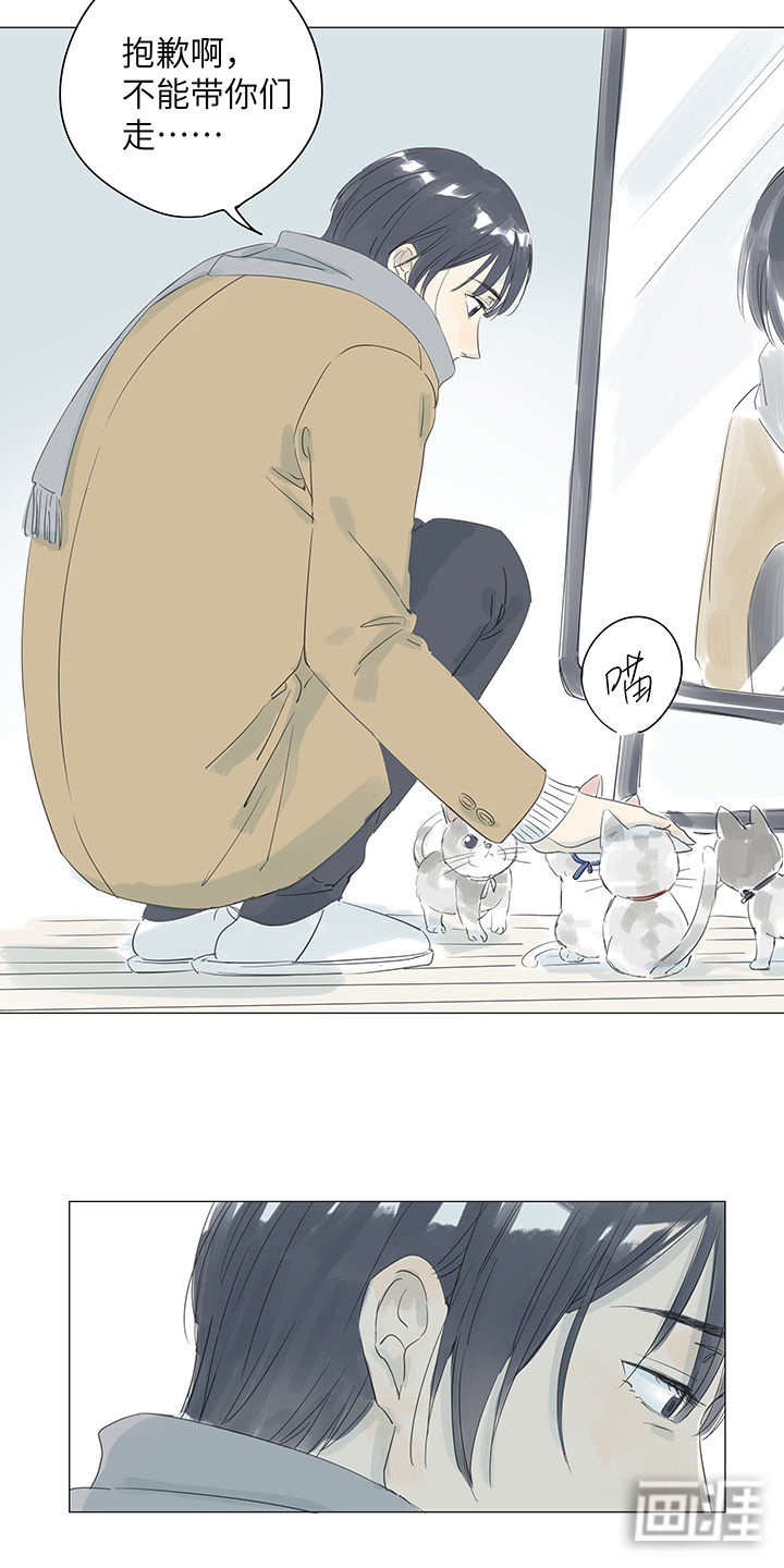 最爱你的那十年漫画-图18