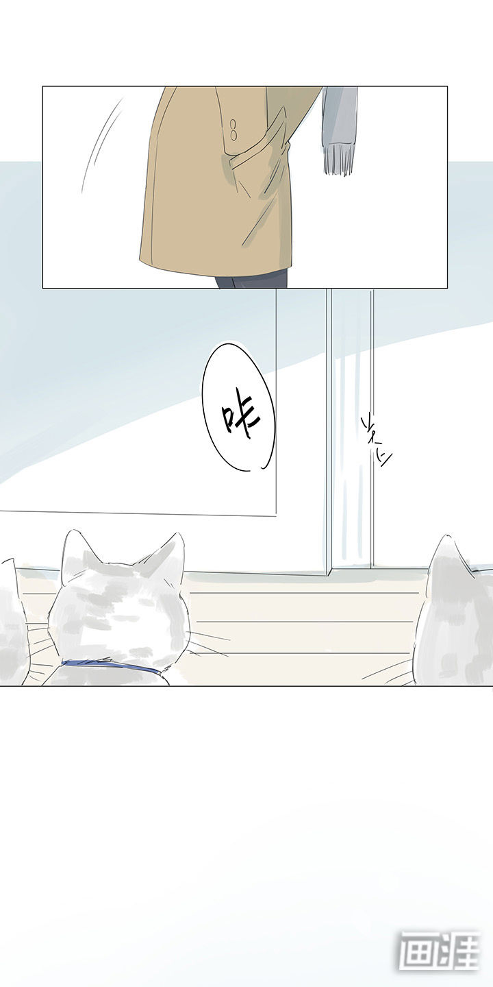 最爱你的那十年漫画-图19
