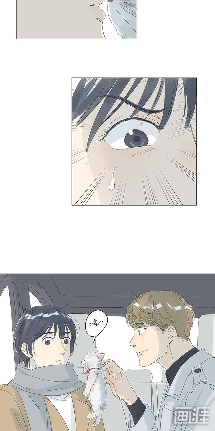 最爱你的那十年漫画-图3