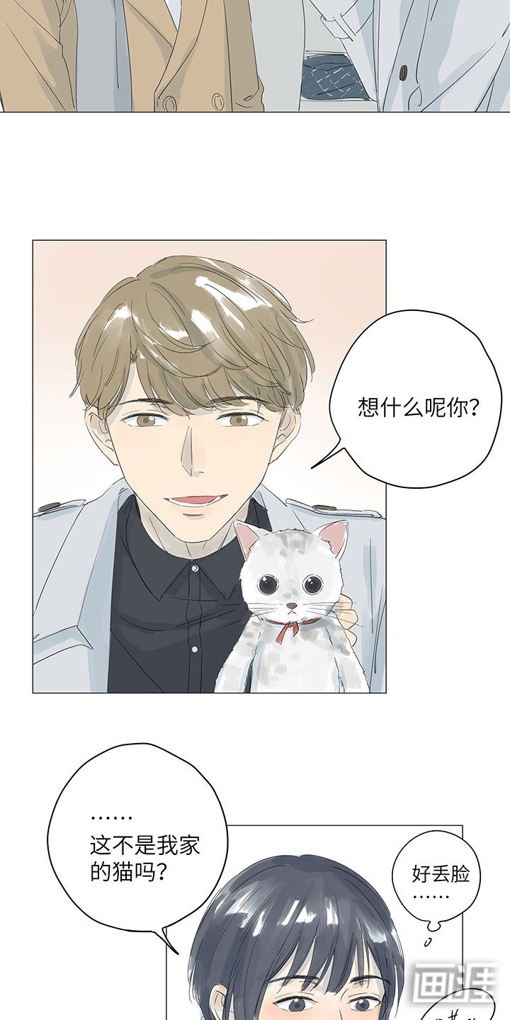 最爱你的那十年漫画-图4