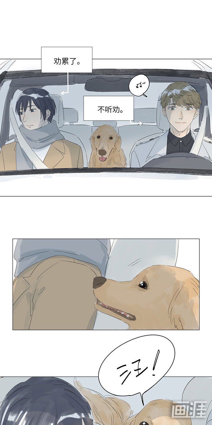 最爱你的那十年漫画-图12