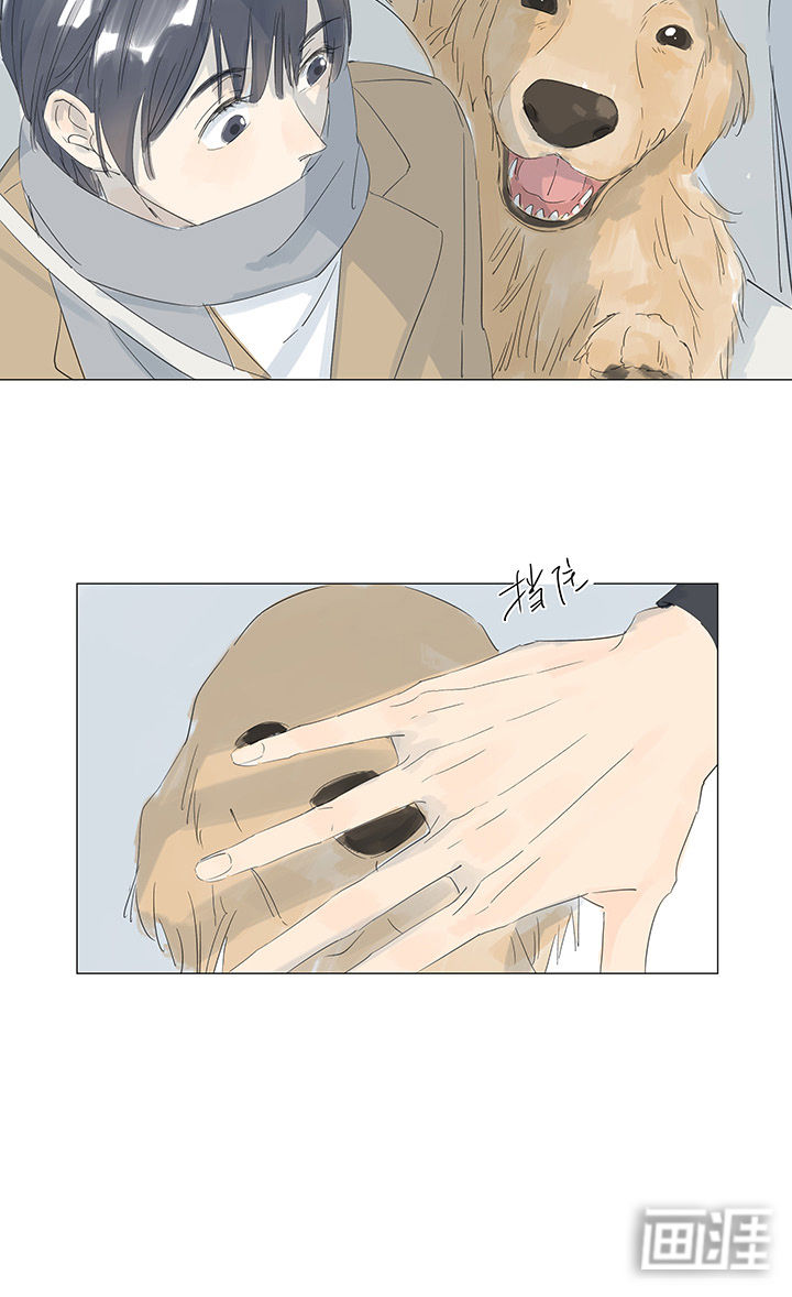 最爱你的那十年漫画-图13