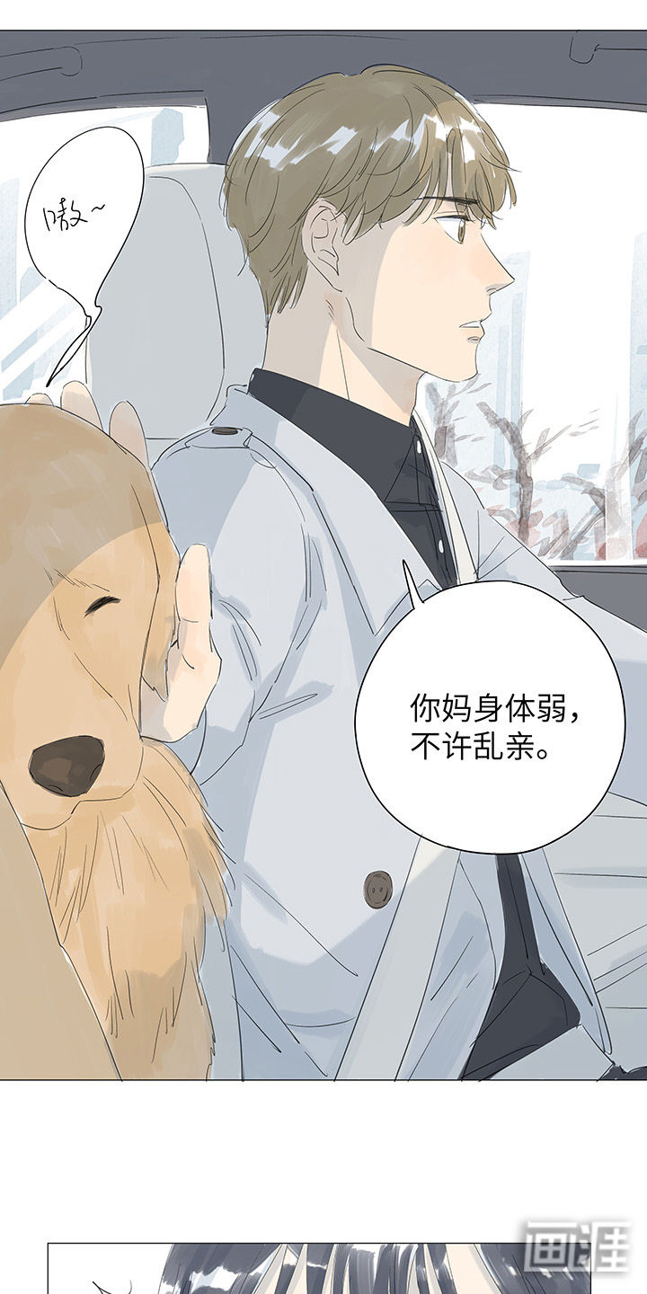 最爱你的那十年漫画-图14