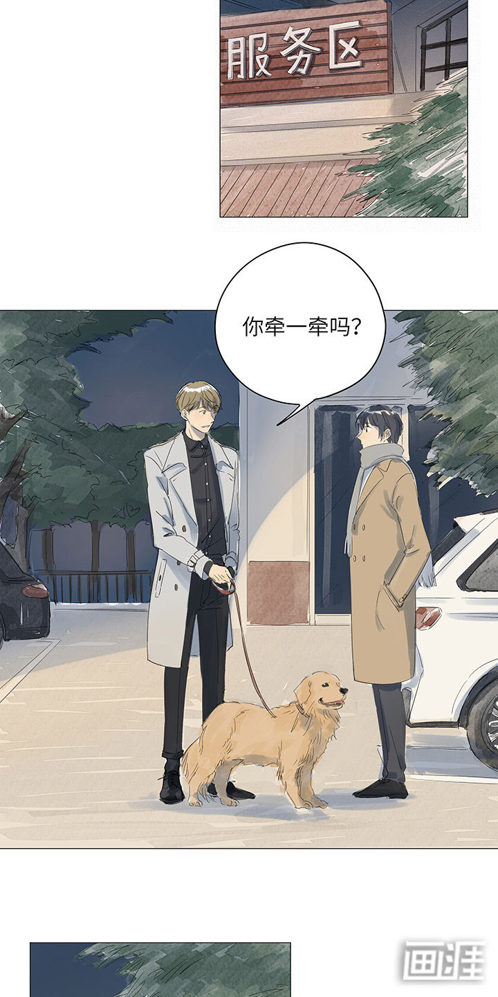 最爱你的那十年漫画-图4