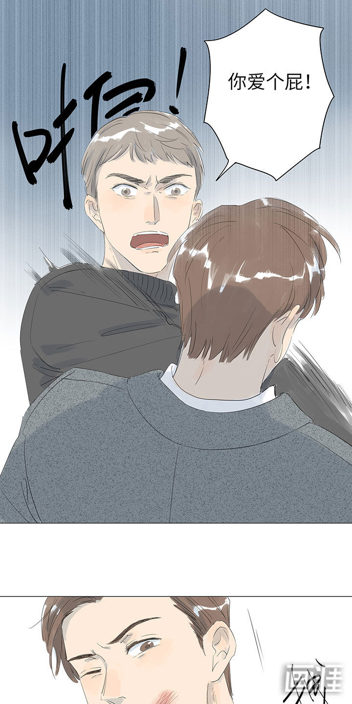 最爱你的那十年漫画-图14