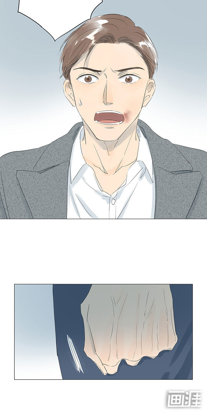 最爱你的那十年漫画-图20