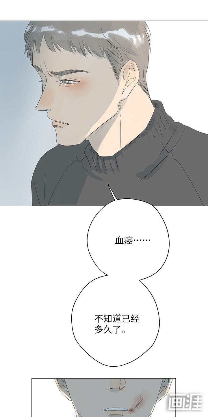 最爱你的那十年漫画-图21