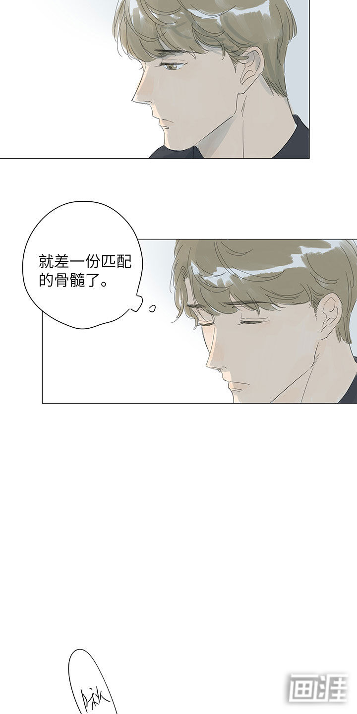 最爱你的那十年漫画-图11