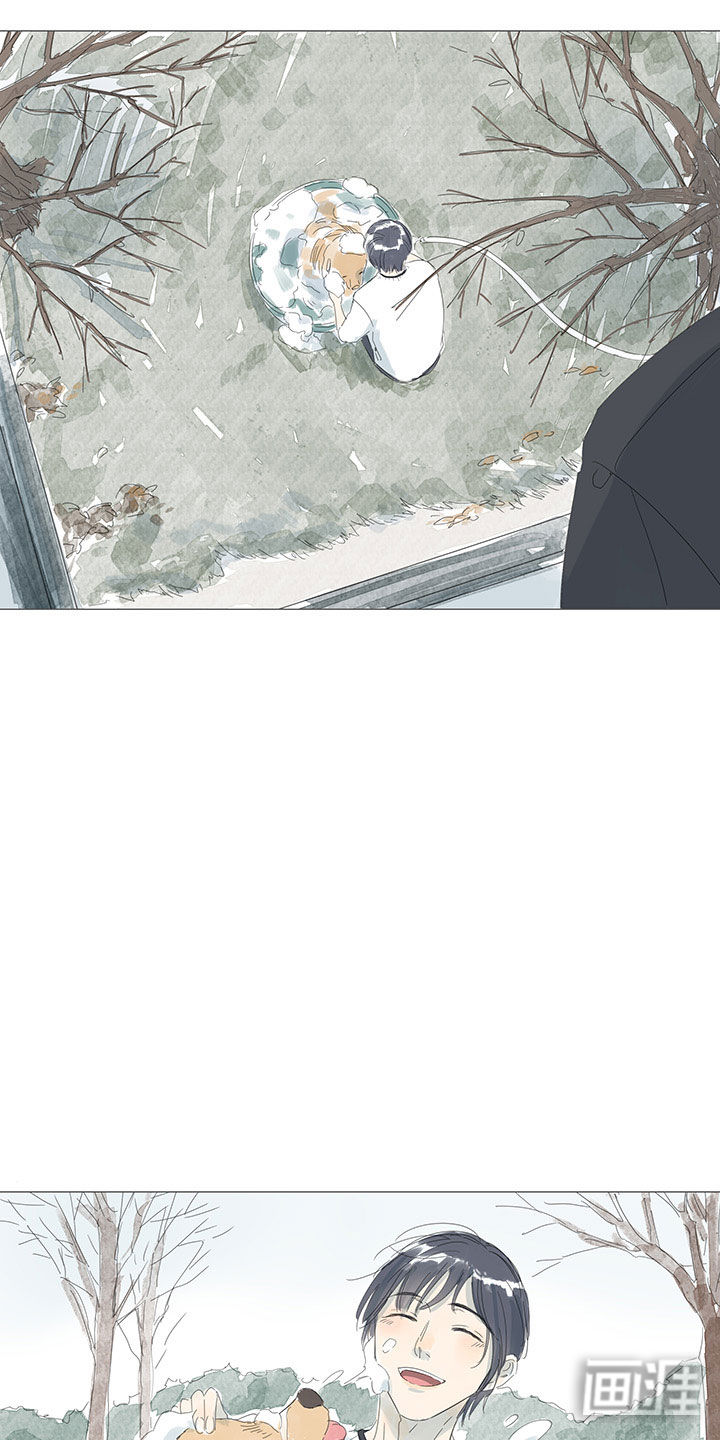 最爱你的那十年漫画-图14
