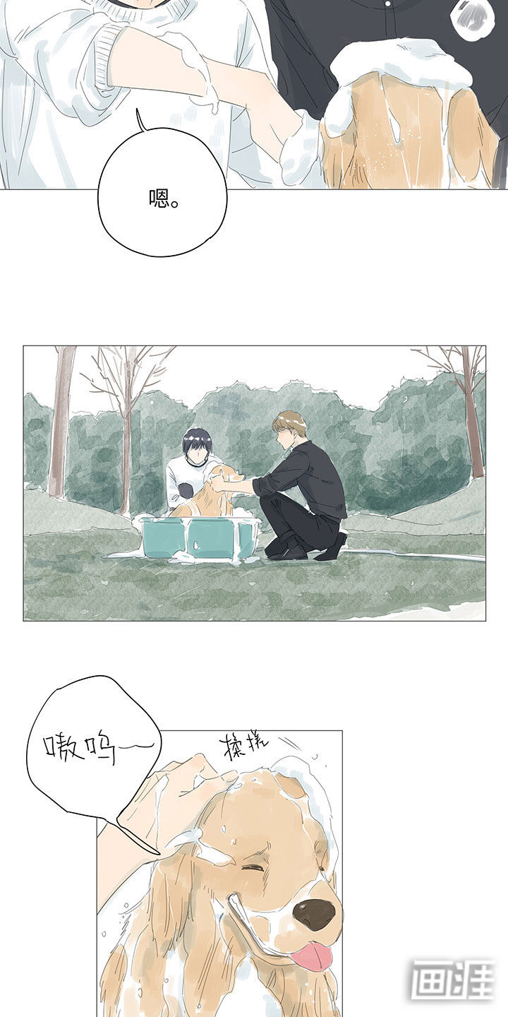 最爱你的那十年漫画-图16