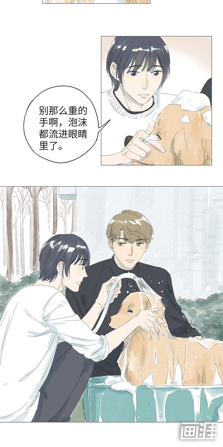 最爱你的那十年漫画-图17