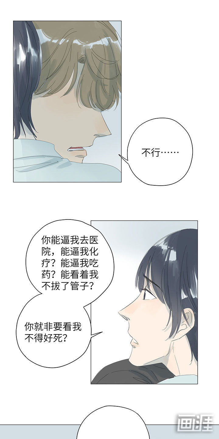 最爱你的那十年漫画-图20