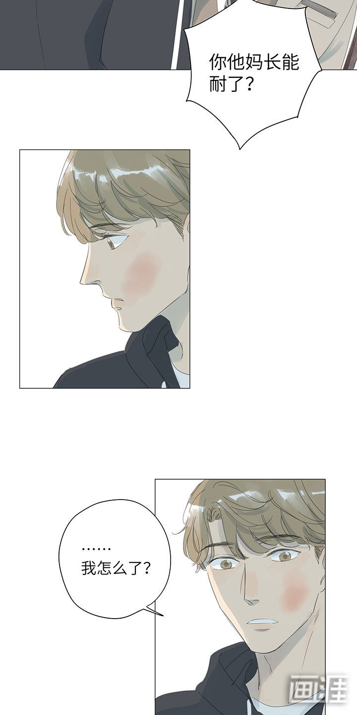 最爱你的那十年漫画-图4