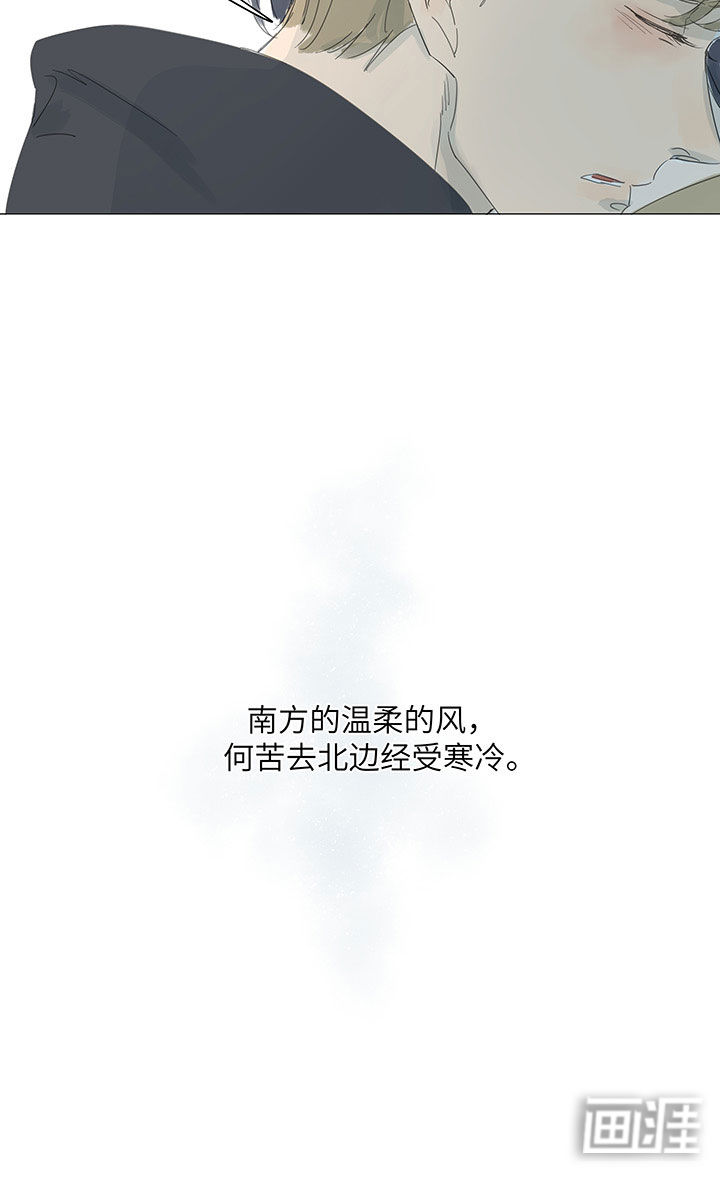 最爱你的那十年漫画-图20