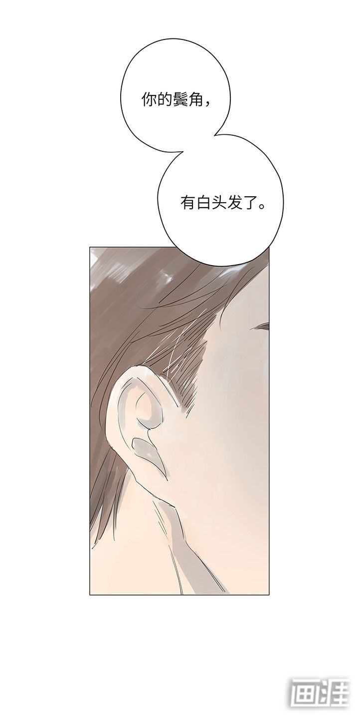 最爱你的那十年漫画-图12