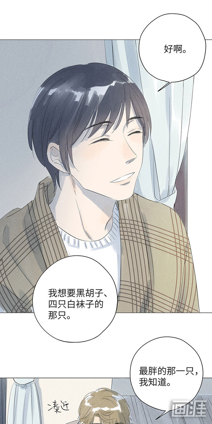 最爱你的那十年漫画-图10