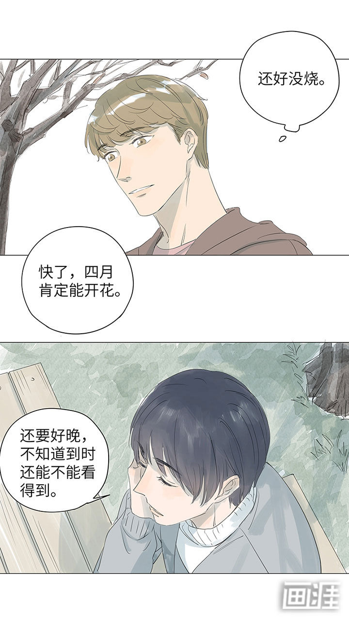 最爱你的那十年漫画-图19
