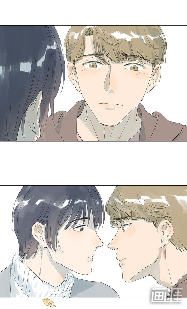 最爱你的那十年漫画-图23