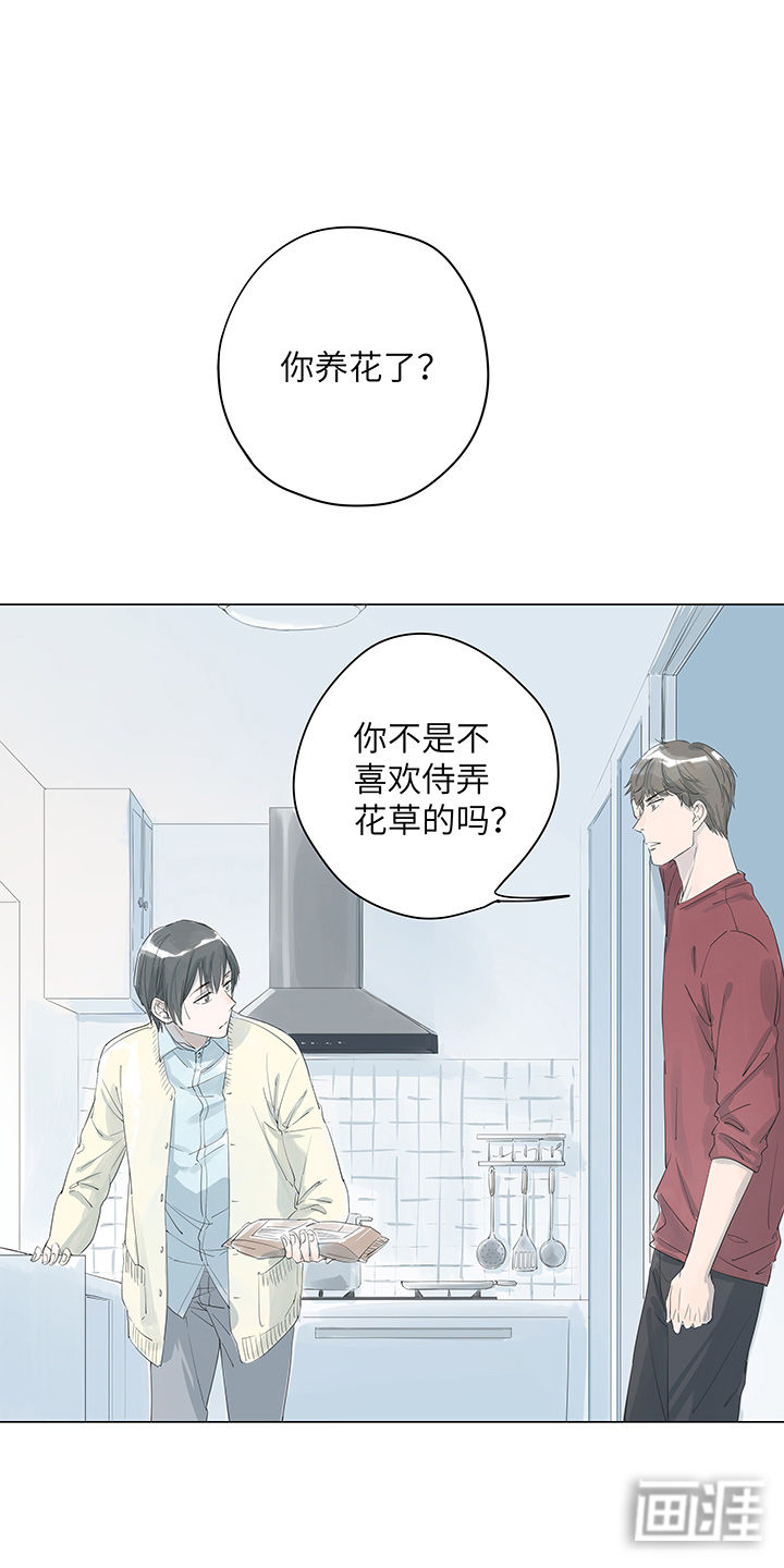 最爱你的那十年第6话图