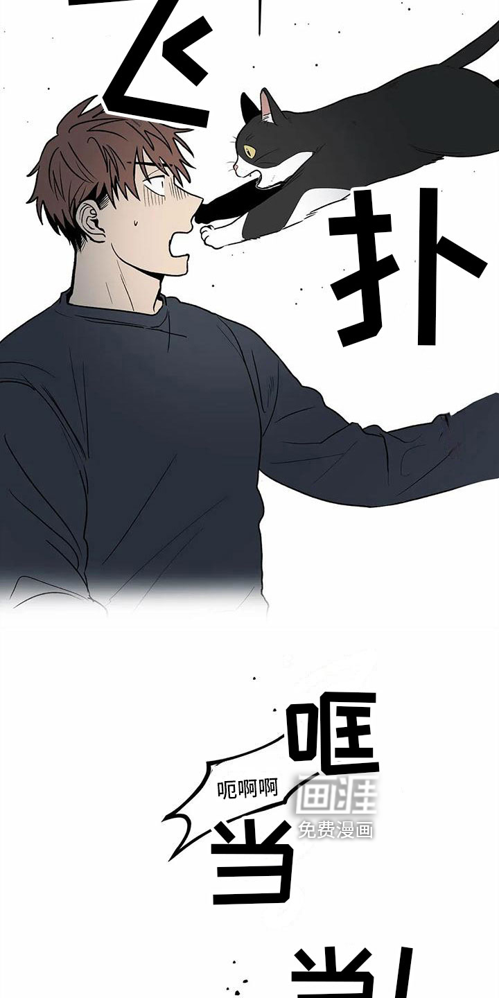 最后给你第9话图