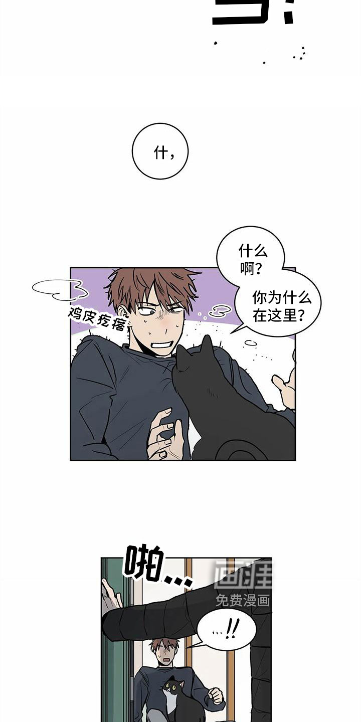 最后给你第9话图