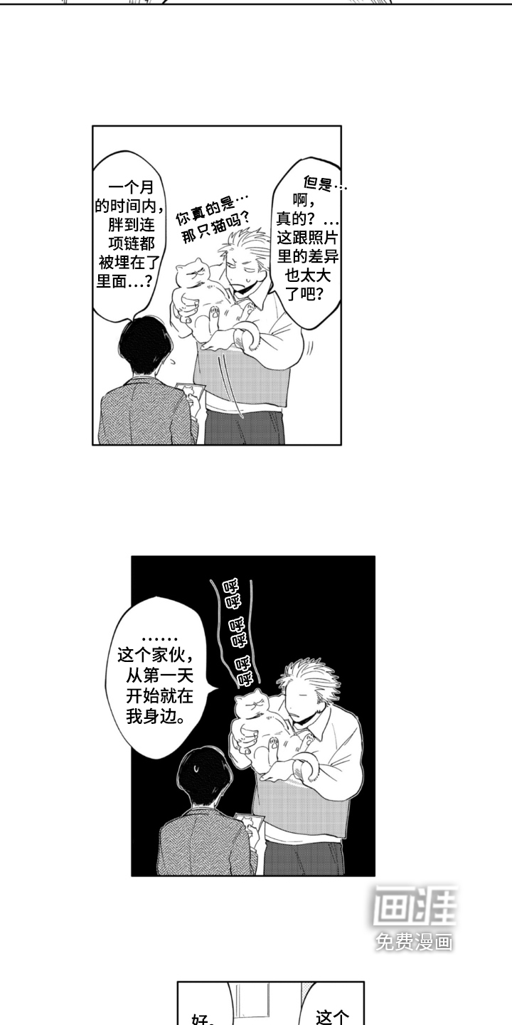 侦探助手第4话图