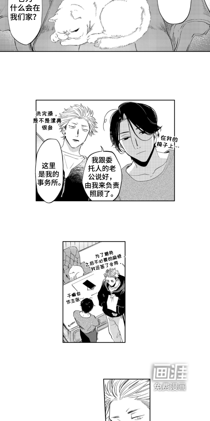 侦探助手 第5话 第3页