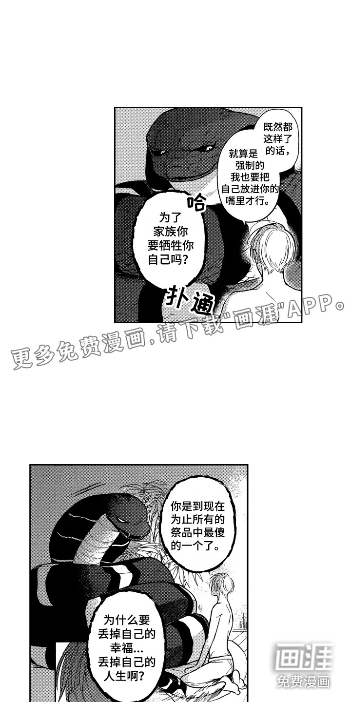 最佳祭品第13话图