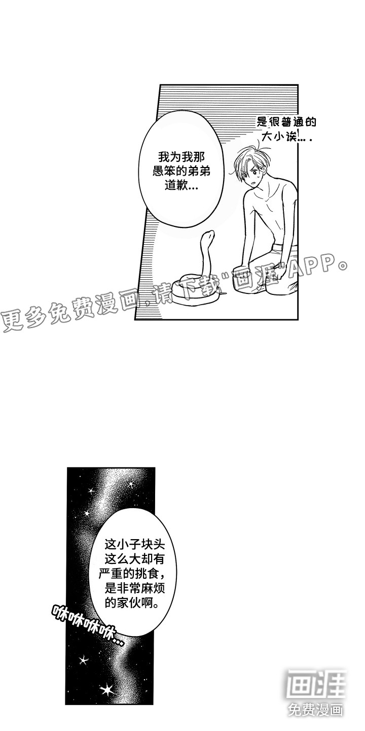 最佳祭品第14话图