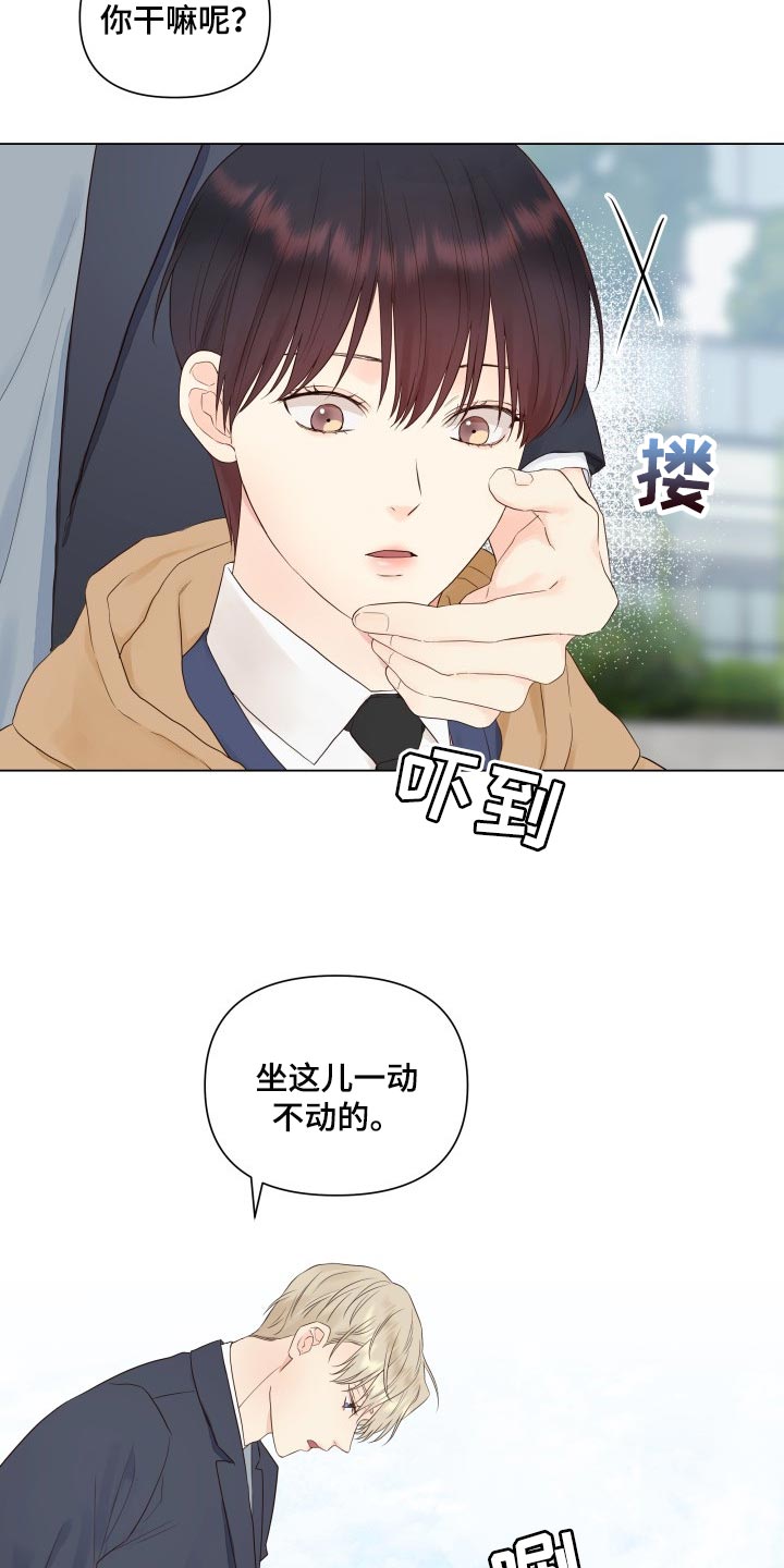 掌中玫瑰第24话图