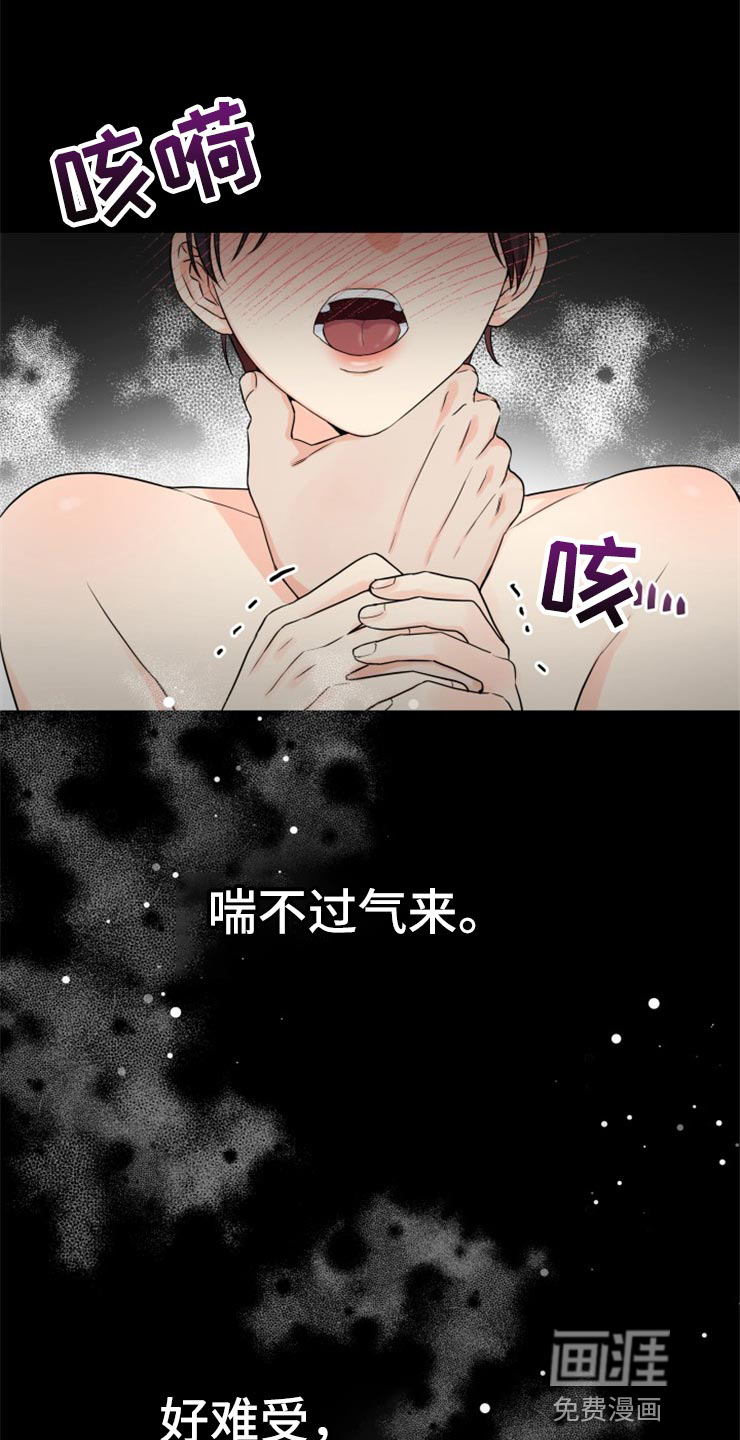 掌中玫瑰第48话图